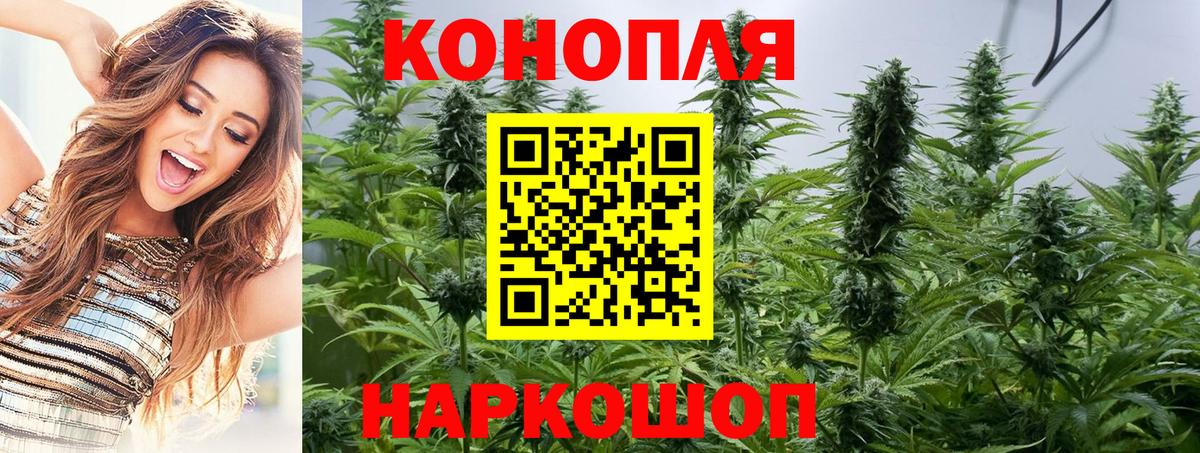 Марихуана планчик  Марихуана SATIVA & INDICA  Приморско-Ахтарск  Вход с VPN  Каннабис White Widow  МАРИХУАНА тримм 